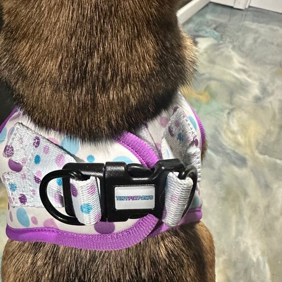 NEW Purple Pet Harness Set | XS–XL | Fast 24-Hour Shipping | Jazzy Pet Paws - Picture 8 of 10